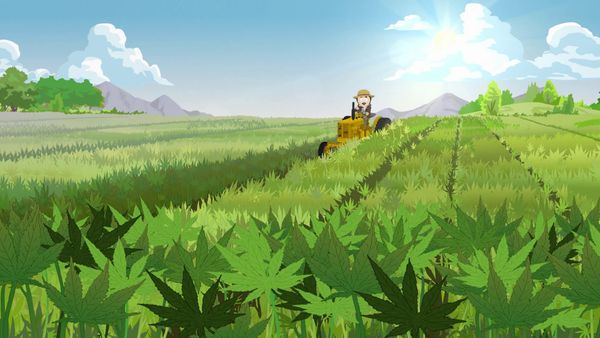 South Park - Granja Tegridad