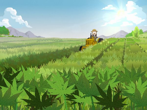 South Park - Granja Tegridad