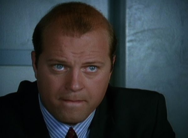 The Commish - Hero