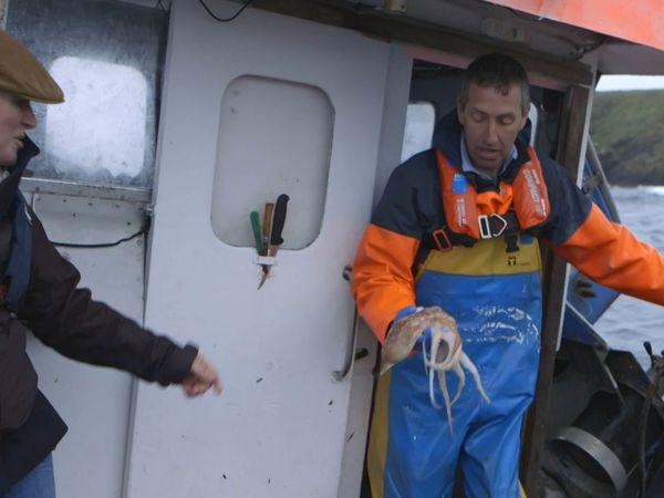 Rachel's Coastal Cooking - Dungarvan