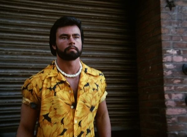 Hunter - The Beach Boy