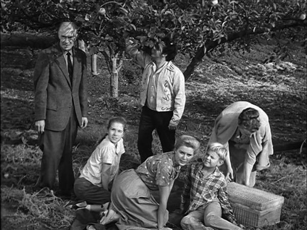 The Real McCoys - The Bigger They Are