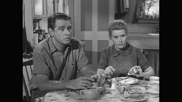 The Real McCoys - For Love or Money