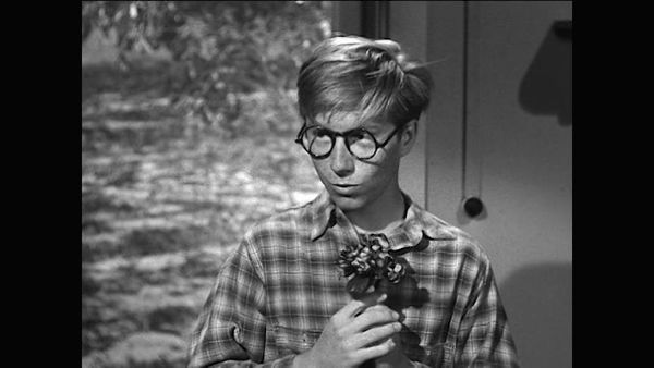 The Real McCoys - The Homely Boy