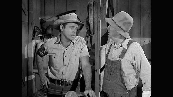 The Real McCoys - The Fighter and the Lady