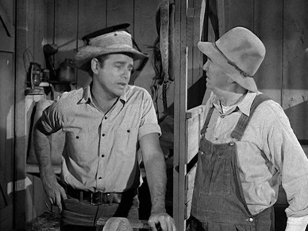 The Real McCoys - The Fighter and the Lady