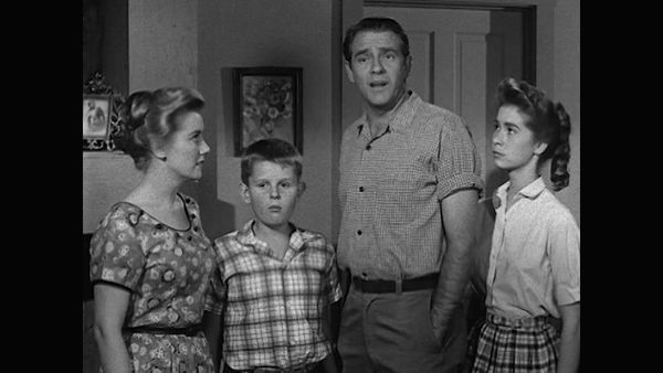 The Real McCoys - The Television Set