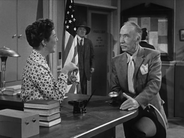 The Real McCoys - The New Librarian
