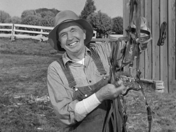 The Real McCoys - The Horse Expert