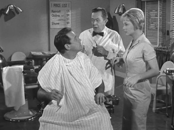The Real McCoys - The Swedish Girl