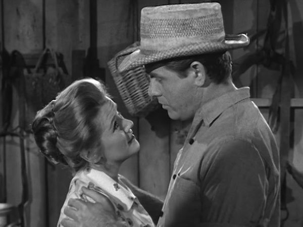 The Real McCoys - The Handsome Salesman