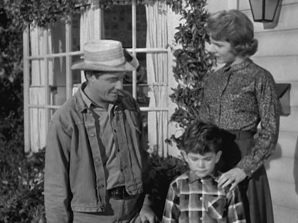 The Real McCoys - Pals