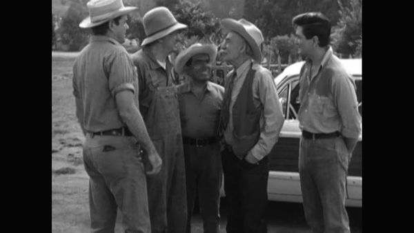 The Real McCoys - The Love Bug Bites Pepino
