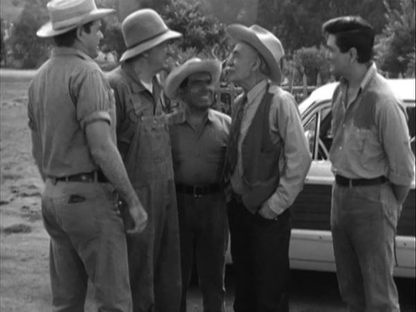 The Real McCoys - The Love Bug Bites Pepino