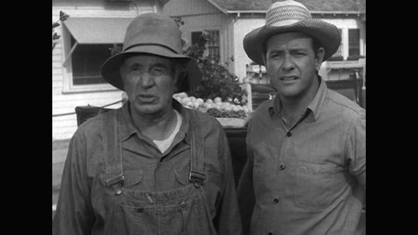 The Real McCoys - The Health Addict