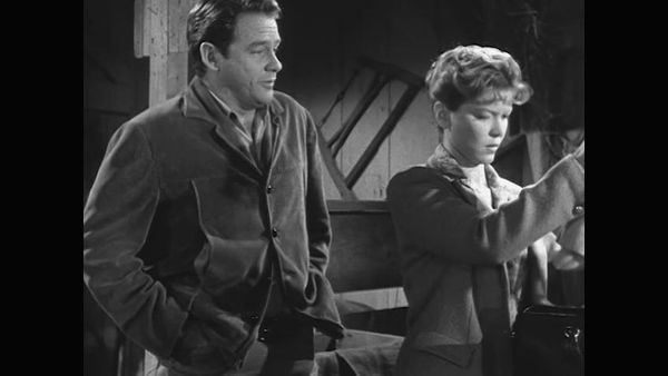 The Real McCoys - The Girl Veterinarian