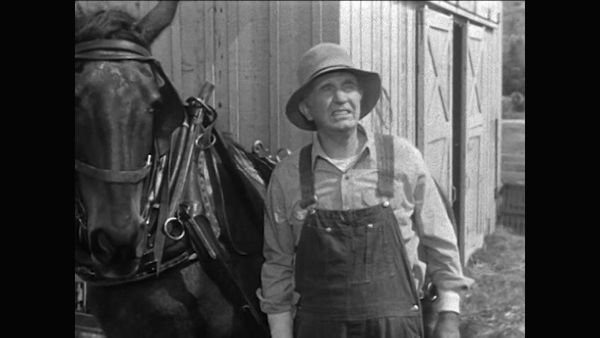 The Real McCoys - The Insurance Policy