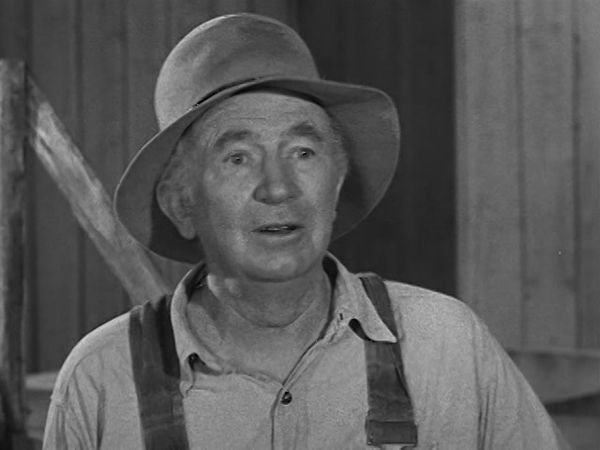 The Real McCoys - The Perfect Swine