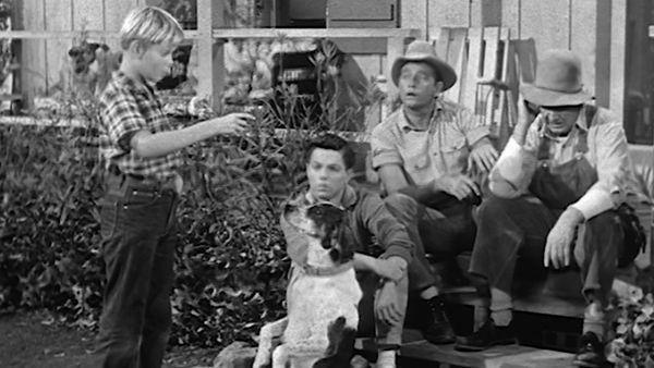 The Real McCoys - Leave It to the Girls