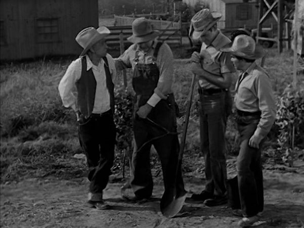 The Real McCoys - The New Well