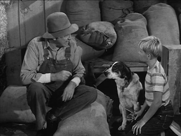 The Real McCoys - The New Dog