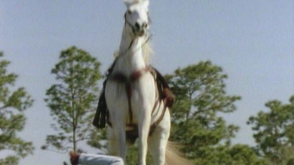 Unsolved Mysteries with Robert Stack - Episode: 19
