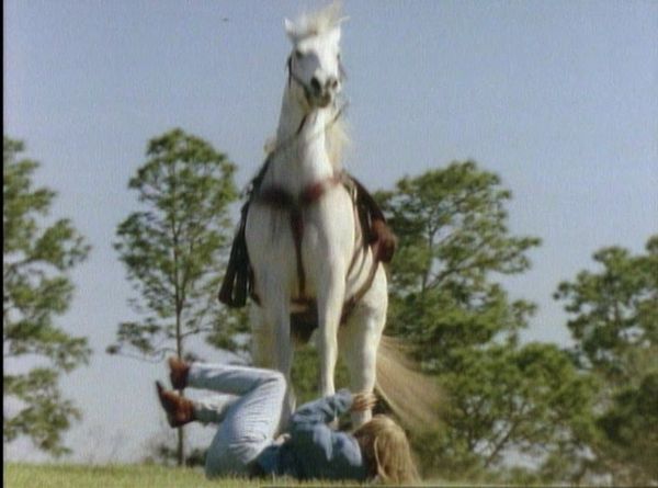 Unsolved Mysteries with Robert Stack - Episode: 19