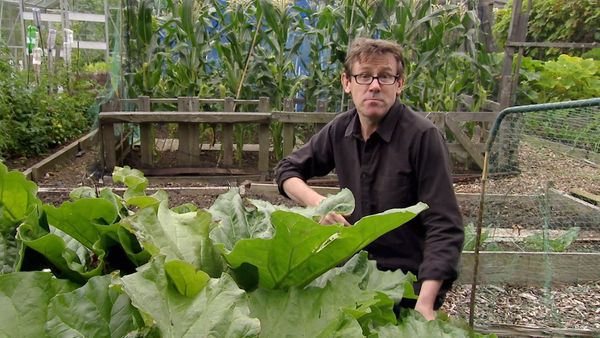 Nigel Slater's Simple Suppers - What Grows Together
