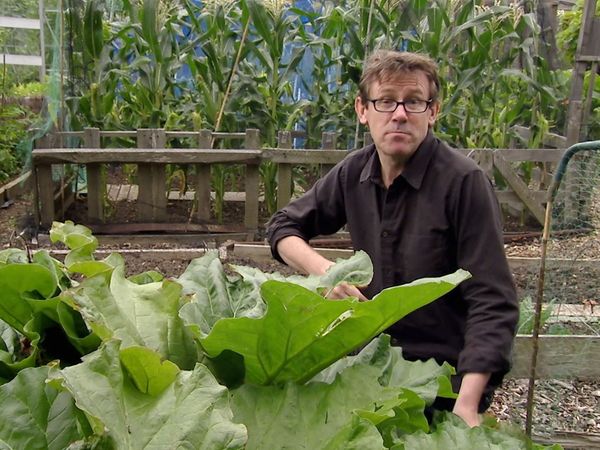 Nigel Slater's Simple Suppers - What Grows Together