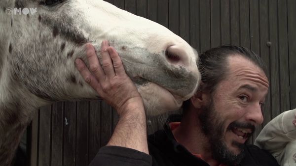 Amor de Bicho BR - Fernando e Agamenon