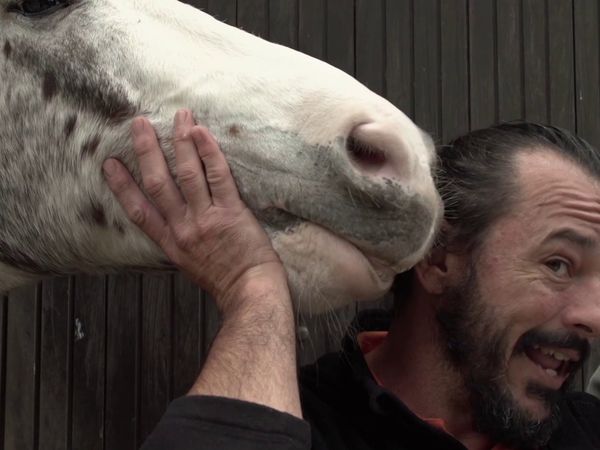 Amor de Bicho BR - Fernando e Agamenon