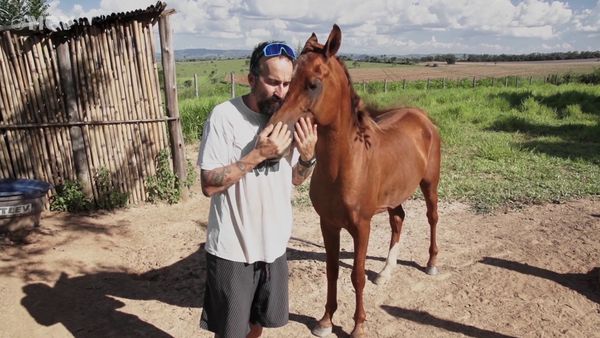 Amor de Bicho BR - Gui e Caramelo