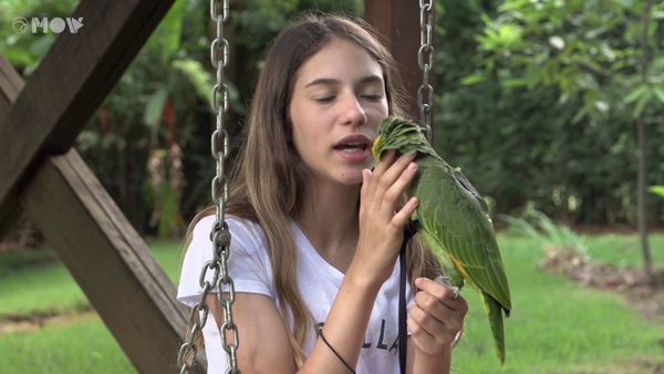 Amor de Bicho BR - Nina e Trevo