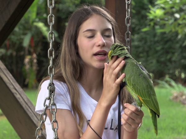 Amor de Bicho BR - Nina e Trevo
