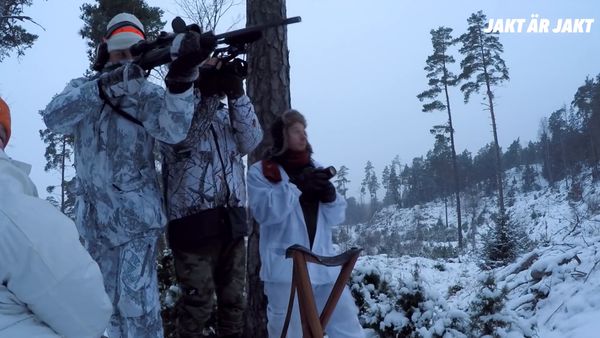 Jakt Är Jakt - Drevjakt I Vinterskog & Jompens Första Hjort