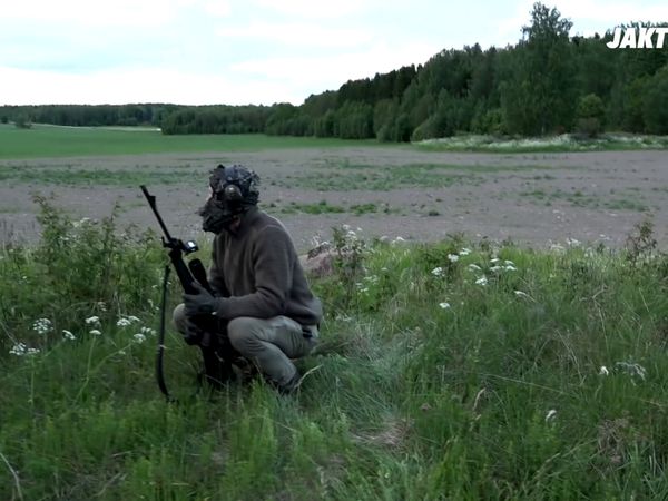 Jakt Är Jakt - Vårbock I Uppsala
