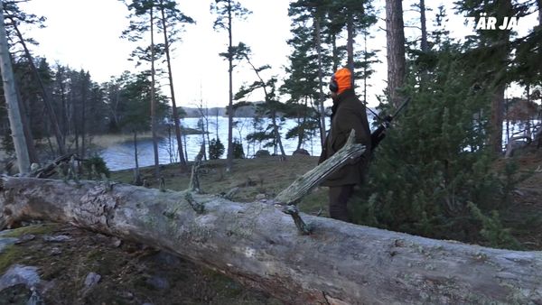 Jakt Är Jakt - Klappjakt