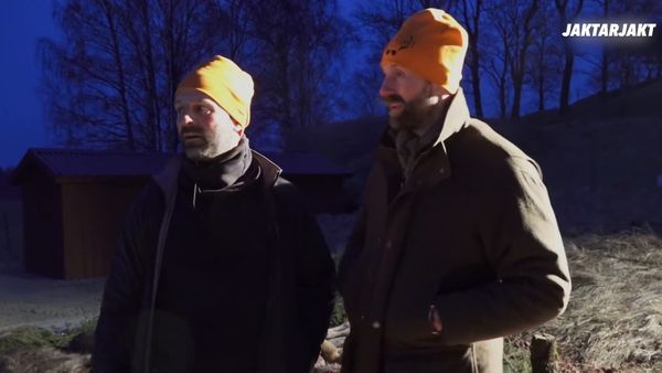 Jakt Är Jakt - Jompens Första Drevjakt