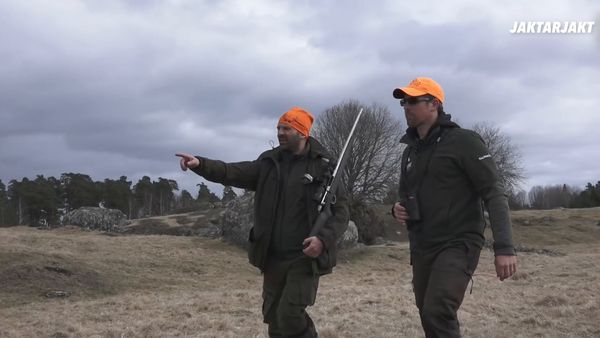 Jakt Är Jakt - Jakt I Almunge