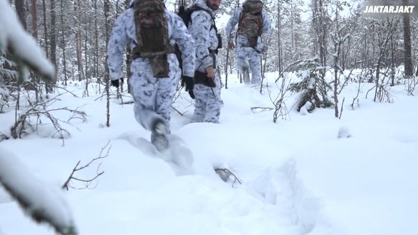 Jakt Är Jakt - Revansch På Toppfågeln