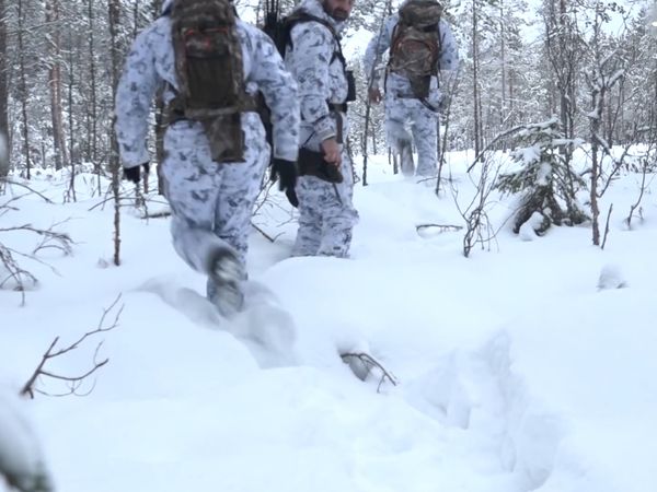 Jakt Är Jakt - Revansch På Toppfågeln