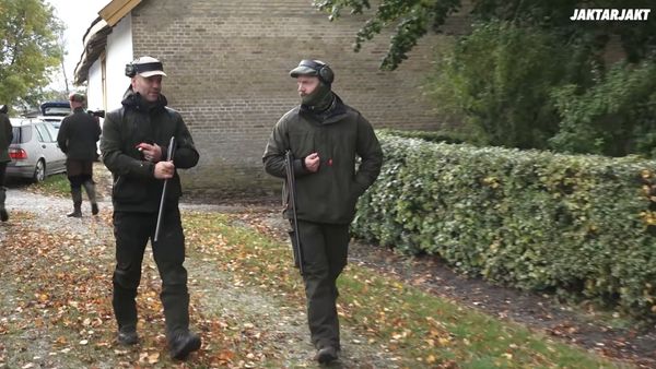 Jakt Är Jakt - Harjakt I Skåne & Jakt På Kronhjort