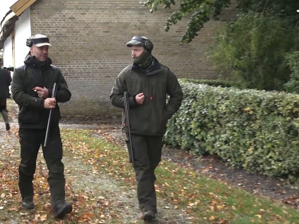 Jakt Är Jakt - Harjakt I Skåne & Jakt På Kronhjort