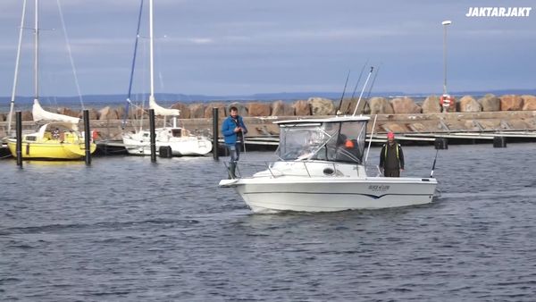 Jakt Är Jakt - Hummerfiske Och Matlagning