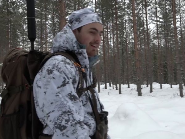Jakt Är Jakt - Toppfågeljakt & Jakt På Mufflon