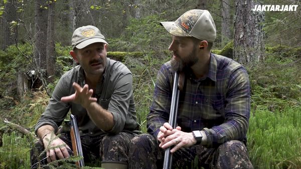 Jakt Är Jakt - Skogsfågel I Norge & Stoffe Och Aska Jagar Skogsfågel
