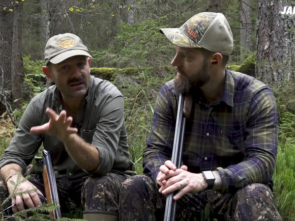 Jakt Är Jakt - Skogsfågel I Norge & Stoffe Och Aska Jagar Skogsfågel