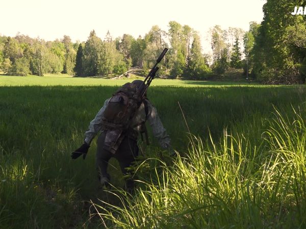 Jakt Är Jakt - Smygjakt På Mufflon, Rapphönsjakt & Kattis Och Jompen På Grym Drevjakt