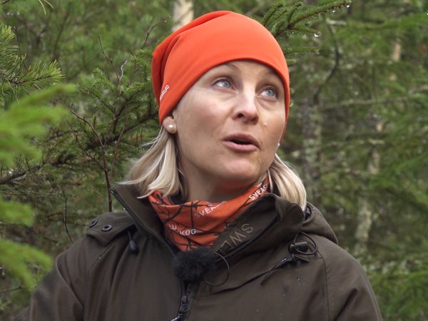 Jakt Är Jakt - Jakt Och Skogslära