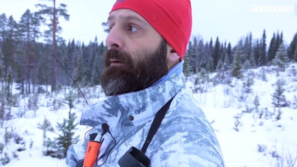 Jakt Är Jakt - Älgjakt I Jämtland & Älgjakt